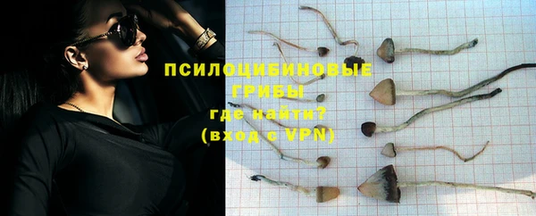 spice Костерёво