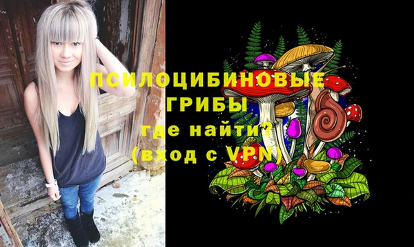спайс Коряжма