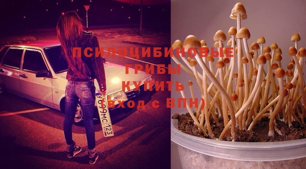 спайс Коряжма
