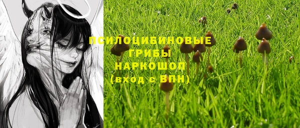 первитин Богданович