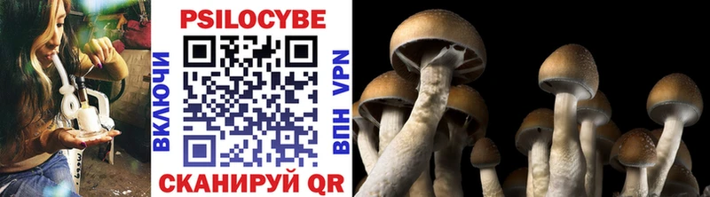 Галлюциногенные грибы ЛСД  Юрга 