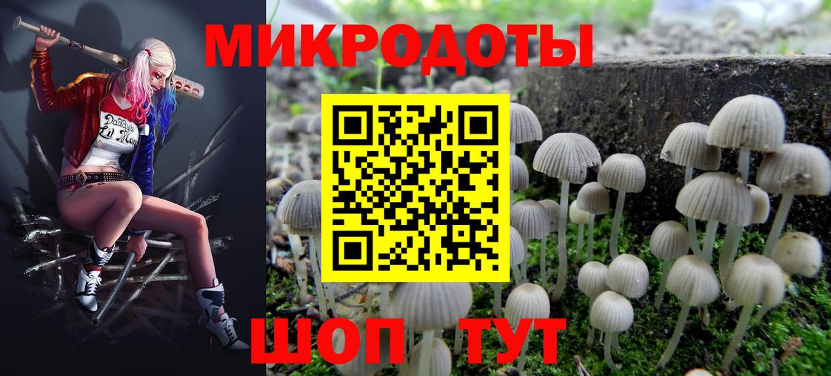 Псилоцибиновые грибы Magic Shrooms Юрга